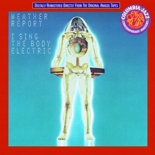 I Sing The Body Electric