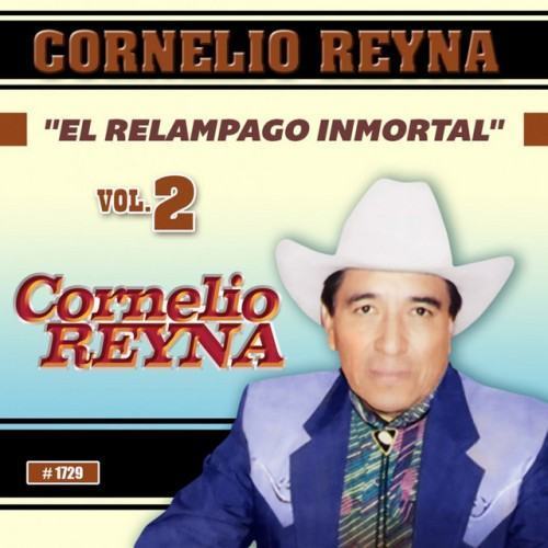 El Relampago Inmortal, Vol. 2