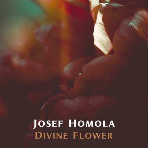 Divine Flower