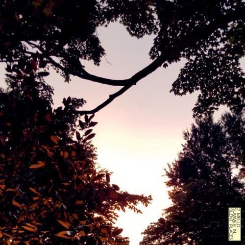 Summer in Silent Places