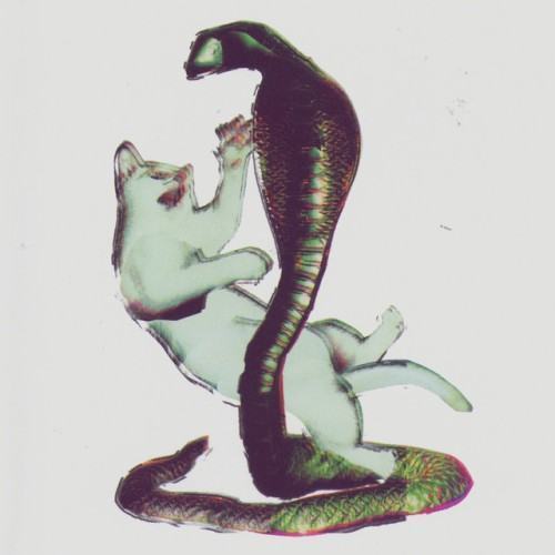 Cat and the Cobra