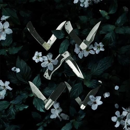 Words Are Weapons