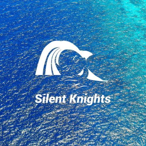 Sleepy Ocean Music