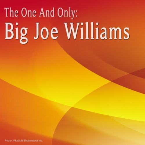 The One and Only: Big Joe Williams