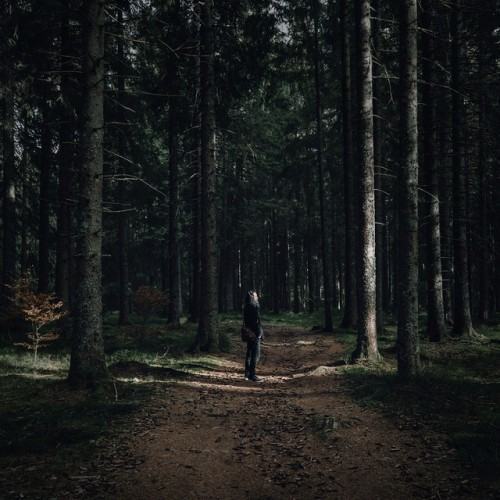 In the Silence I Can Finally Hear