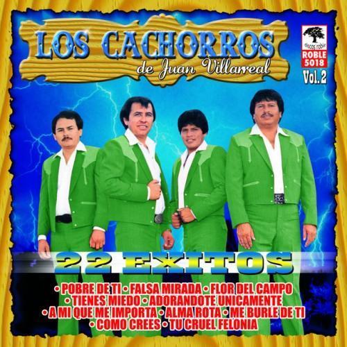 22 Exitos de Juan Villarreal, vol. 2