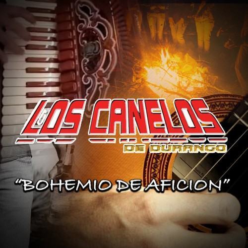 Bohemio de Aficion