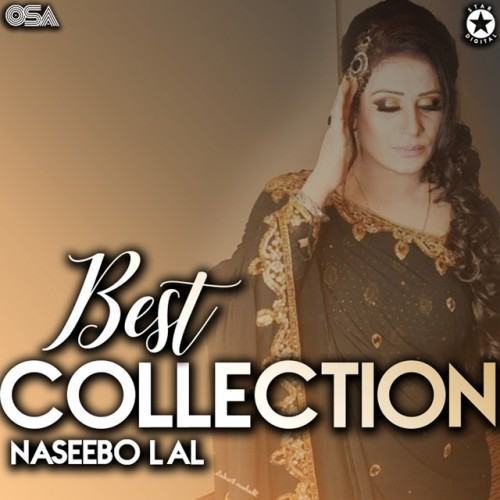 Best Collection