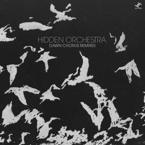 Dawn Chorus (Remixes)