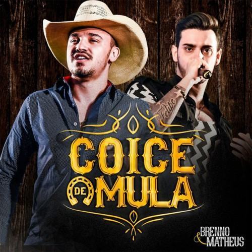 Coice De Mula (Ao Vivo)