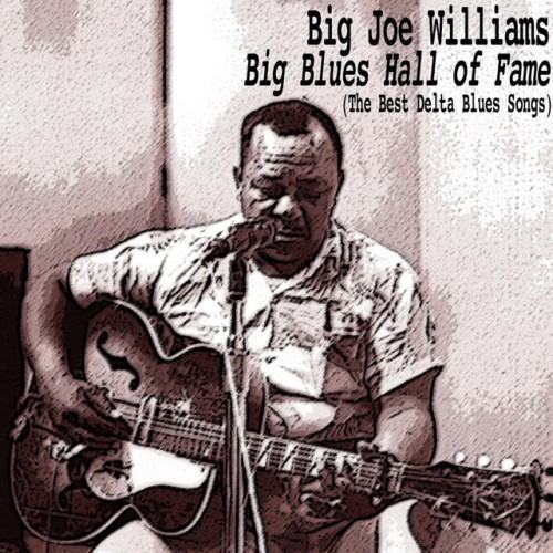 Big Blues Hall of Fame (The Best Delta Blues Songs)