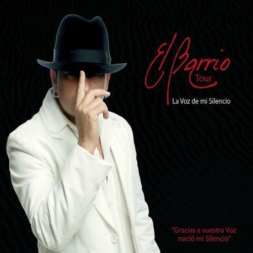 La Voz de Mi Silencio (Tour 08)