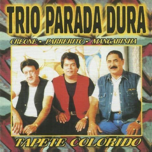 Tapete Colorido