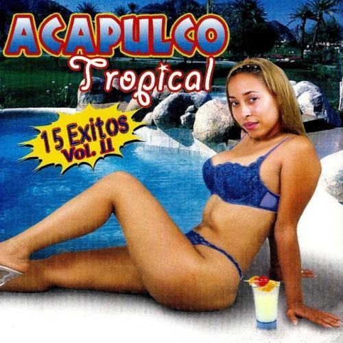 15 EXITOS VOL.2