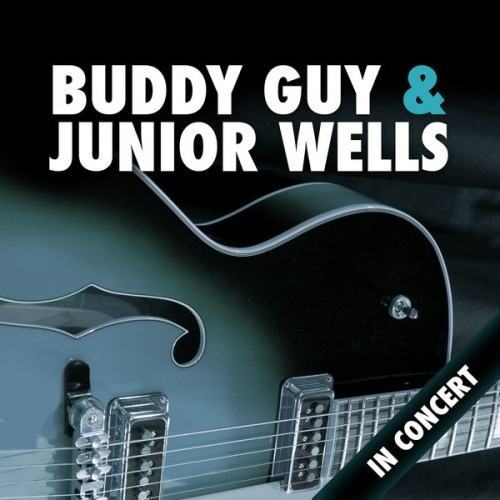 Buddy Guy & Junior Wells In Concert
