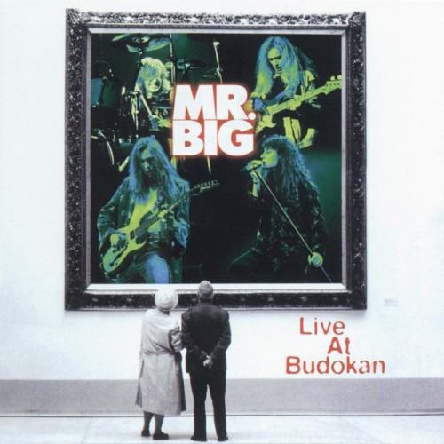 Live At Budokan