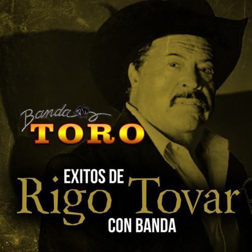 Exitos de Rigo Tovar Con Banda