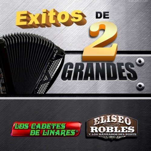 Exitos De Dos Grandes