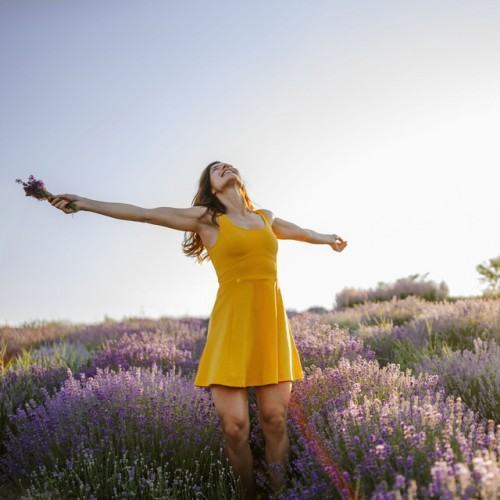 Laid-back Harmony: Blissful Tunes for Chill Music