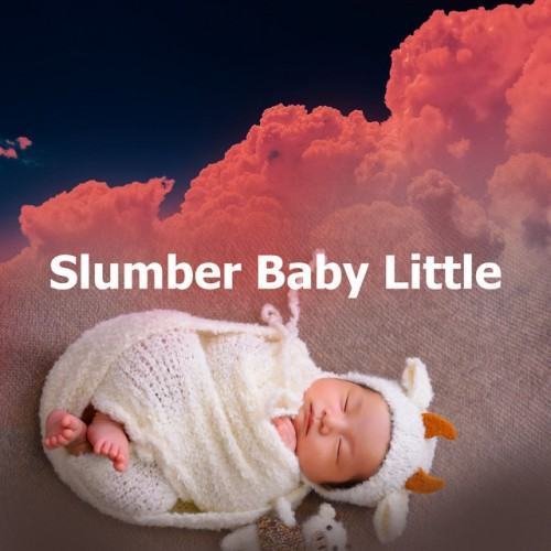 Slumber Baby Little