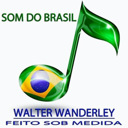 Feito Sob Medida (Som do brasil)