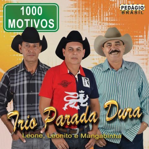 1000 Motivos