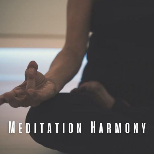 Meditation Harmony: Chill Music for Contemplation