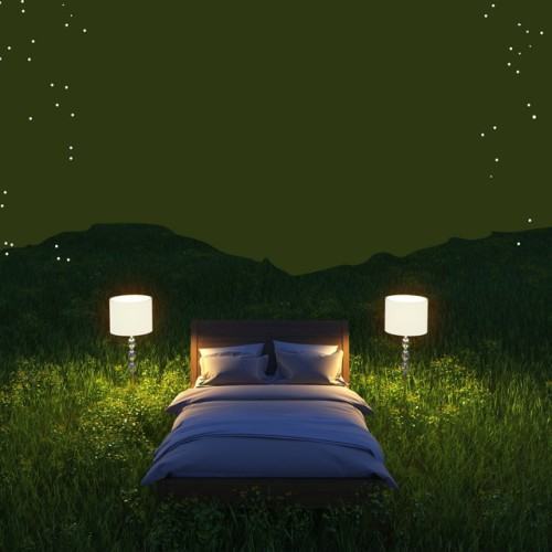 Whispers of the Night: Music for Sleep