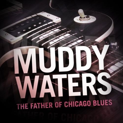 Muddy Waters - The Father of Chicago Blues
