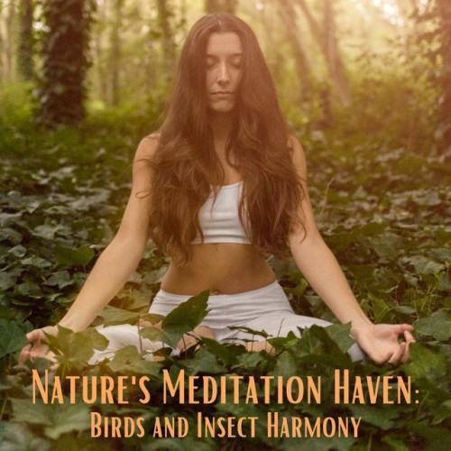 Nature's Meditation Haven: Birds and Insect Harmony