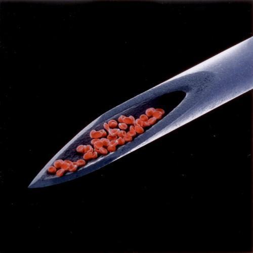 Live Blood (Live)