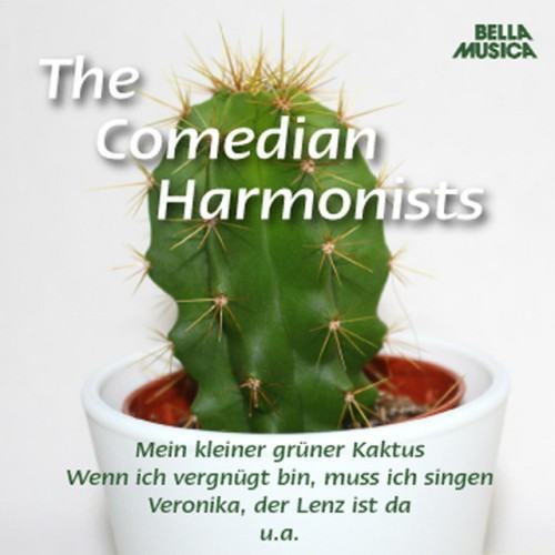 Mein kleiner grüner Kaktus