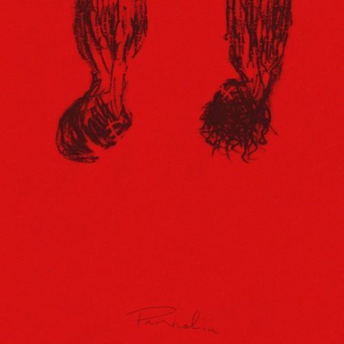 PARHELIA