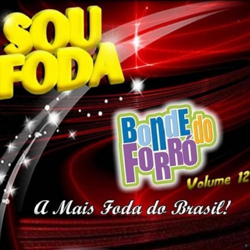 Sou Foda, Vol. 12