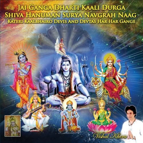 Jai Ganga Dharti Kaali Durga Shiva Hanuman Surya Navgrah Naag Kateri Kaalbhairo Devis and Devtas Har Har Gange