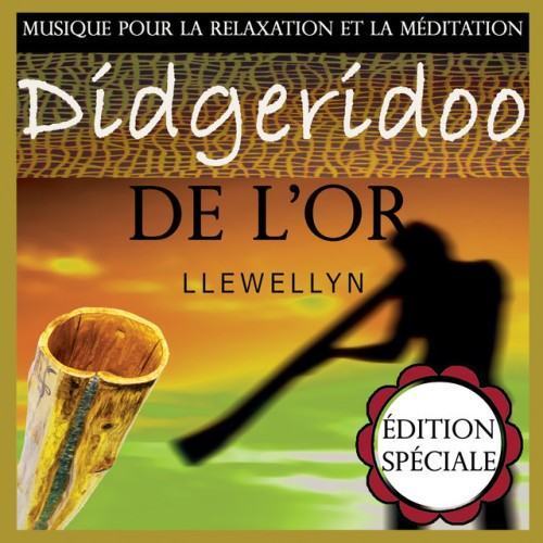 Didgeridoo de l'or: musique pour la relaxation et la méditation: édition spéciale