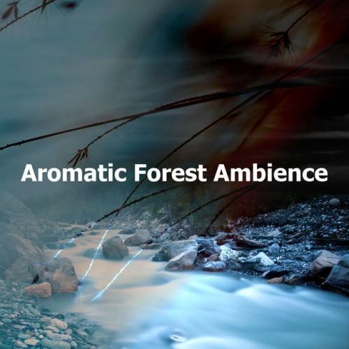 Aromatic Forest Ambience