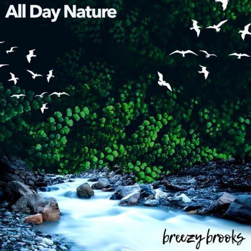 All Day Nature