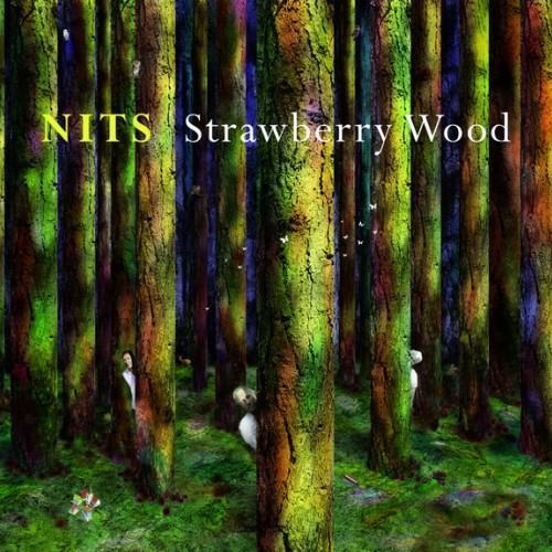 Strawberry Wood