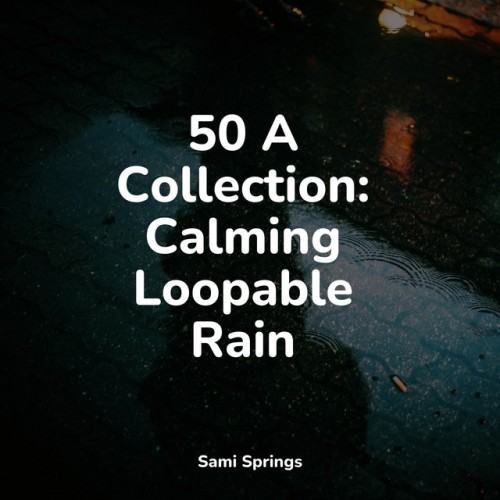 50 A Collection: Calming Loopable Rain