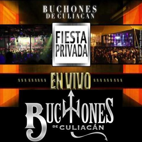 Fiesta Privada en Vivo (En vivo)