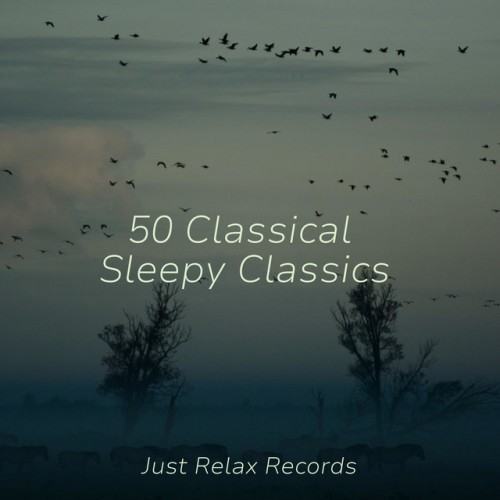 50 Classical Sleepy Classics