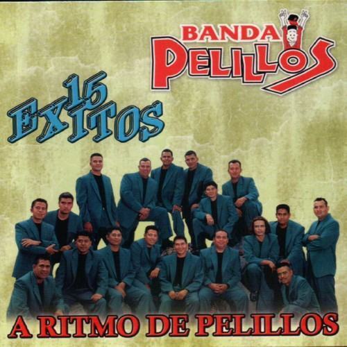 15 Exitos