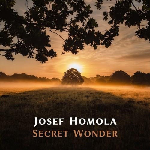 Secret Wonder