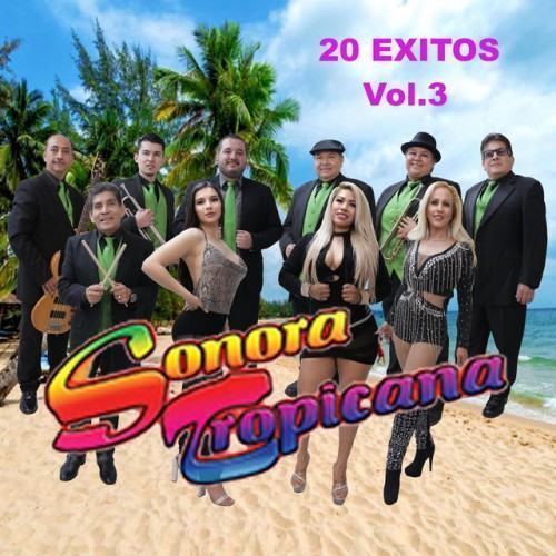 20 Exitos, Vol. 3