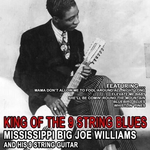 King of the 9 String Blues