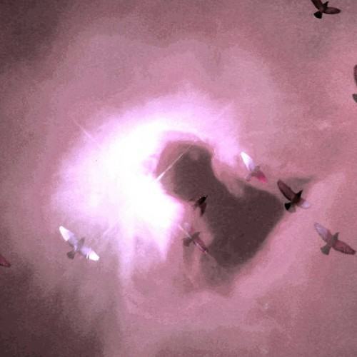 Cozy Songs