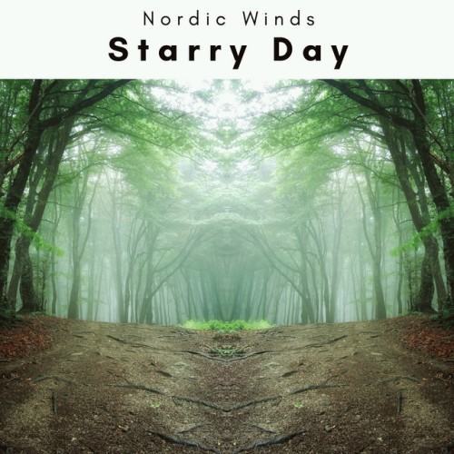 1 Starry Day
