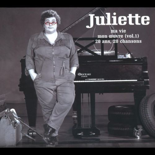 Ma Vie Mon Oeuvre (Vol.1) 20 Ans 20 Chansons