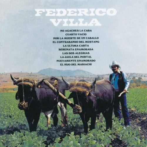 Federico Villa